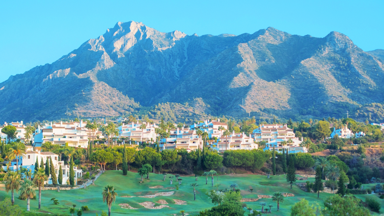 shutterstock 1538091575