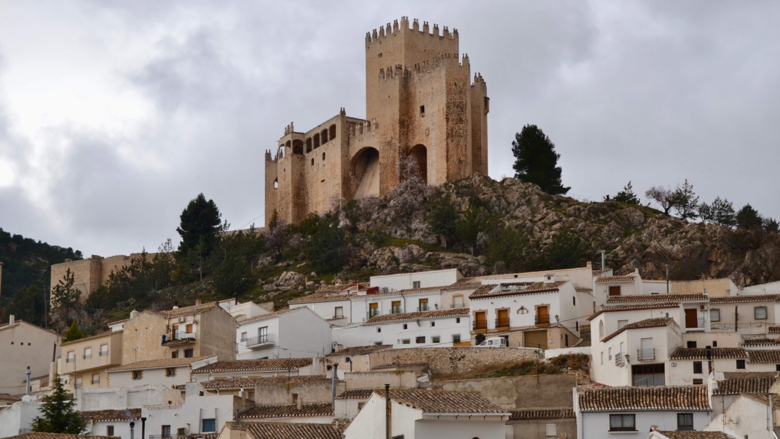 shutterstock 1538655053 - Velez-Rubio