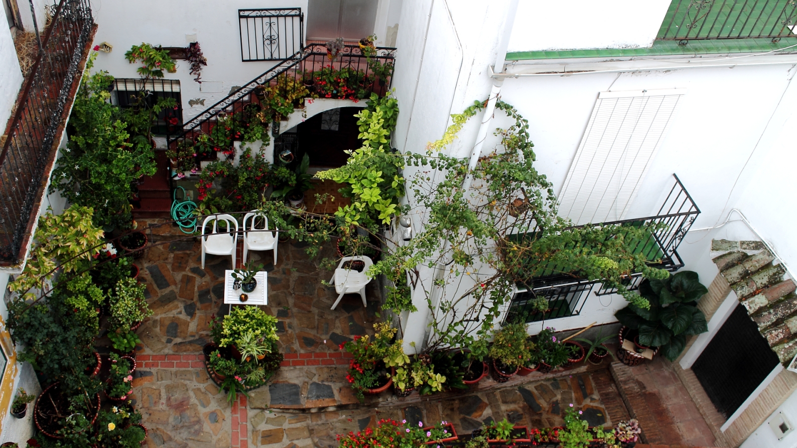 shutterstock 1563535057 - Jubrique