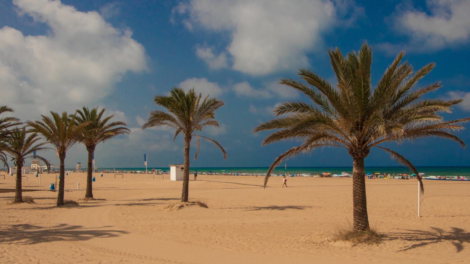 shutterstock 1581975091