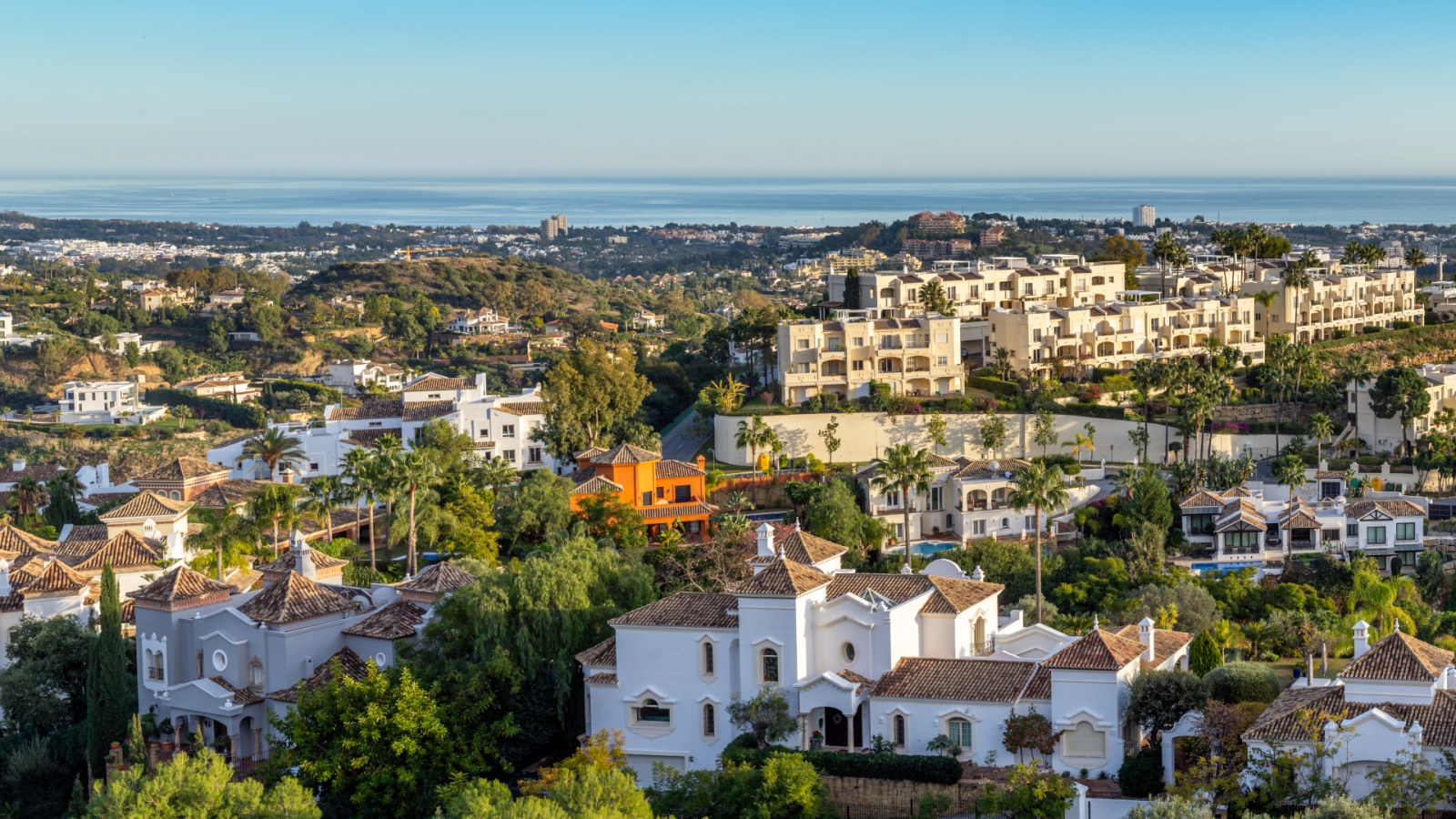 shutterstock 1589208631