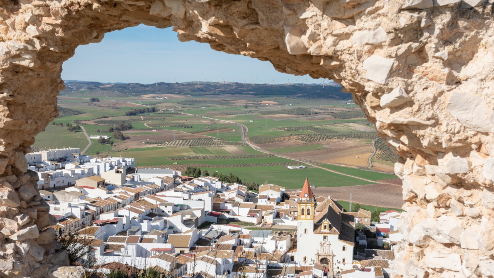 shutterstock 1599639652 - Teba