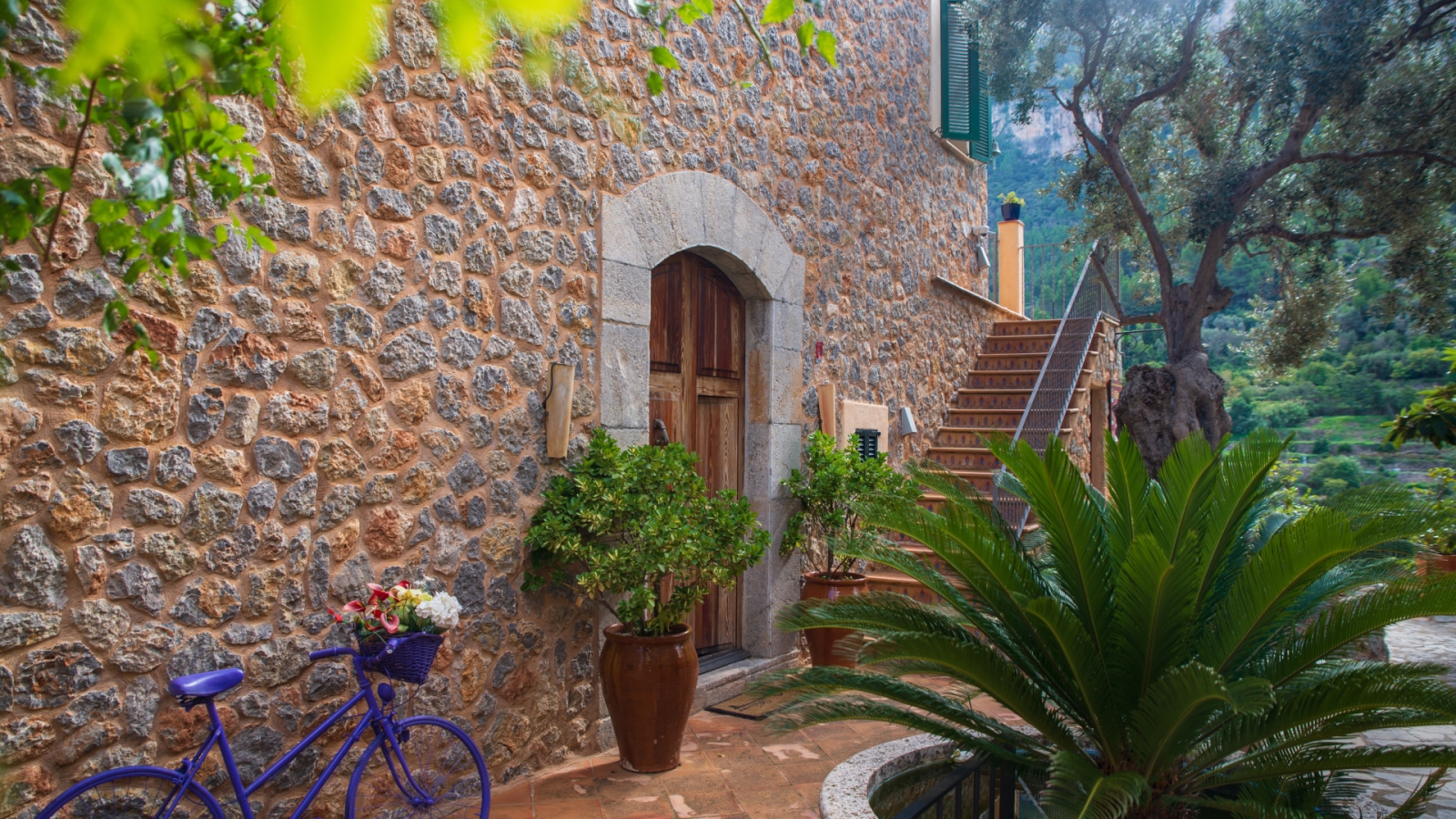 shutterstock 1720480771