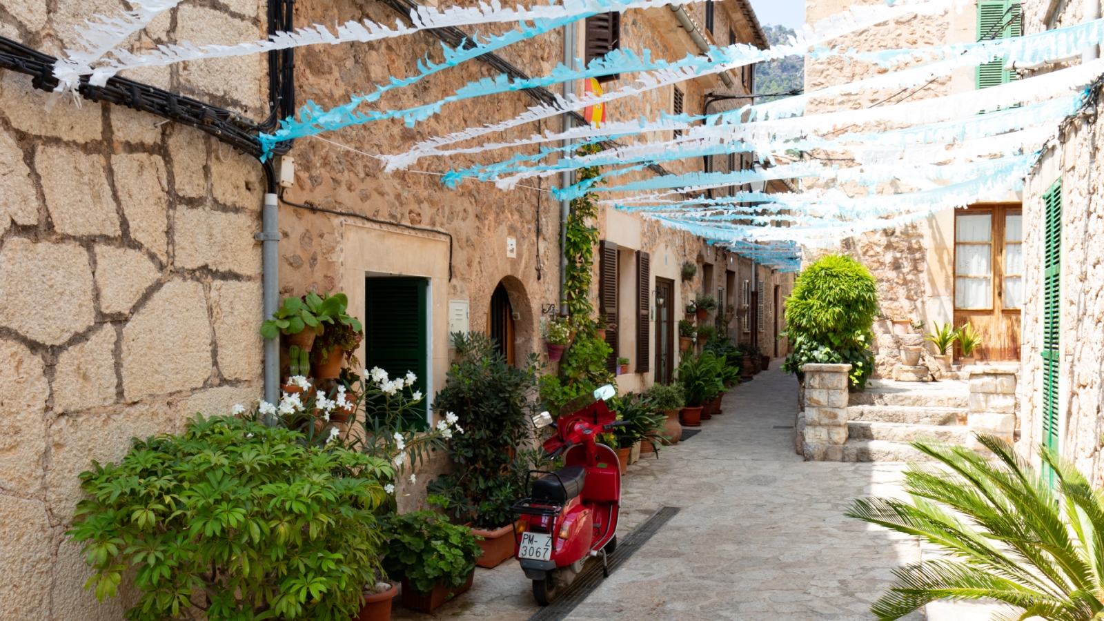 shutterstock 1945788043