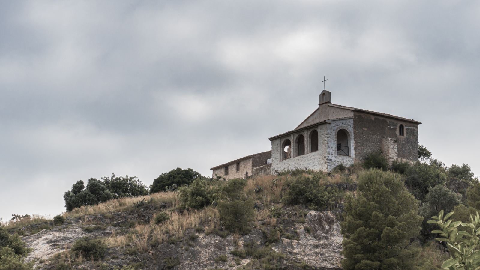 shutterstock 1985967749