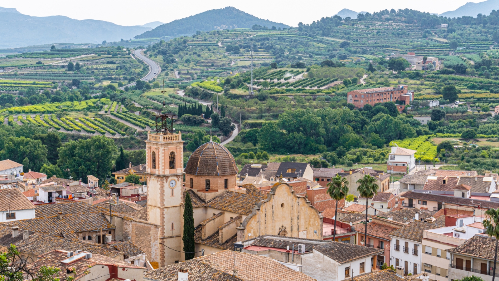 shutterstock 1990294709