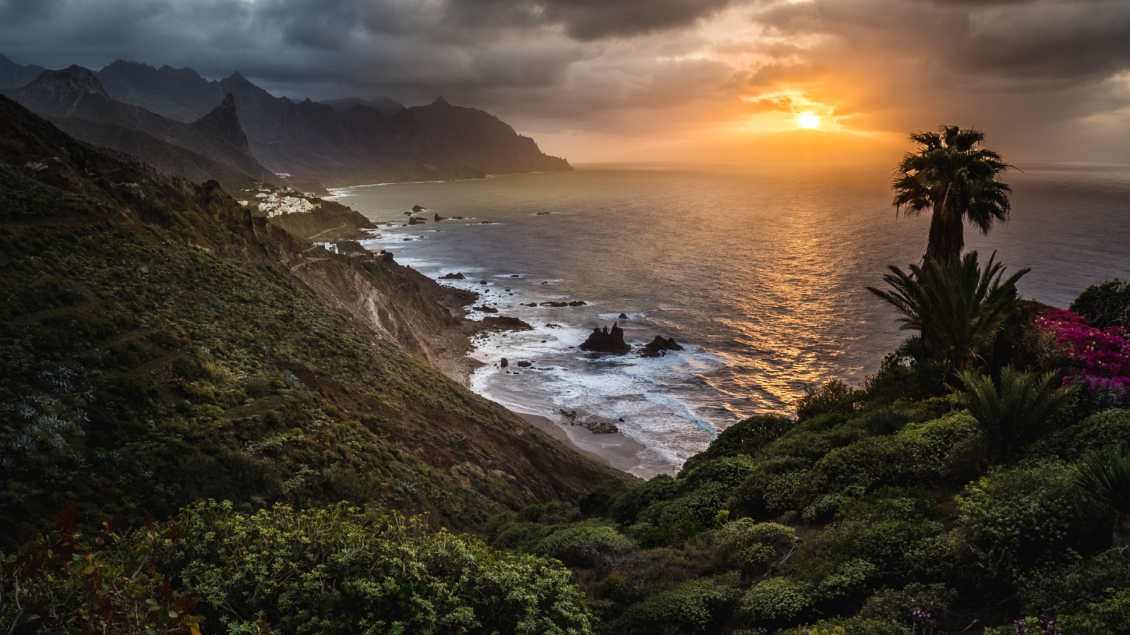 shutterstock 2021369501