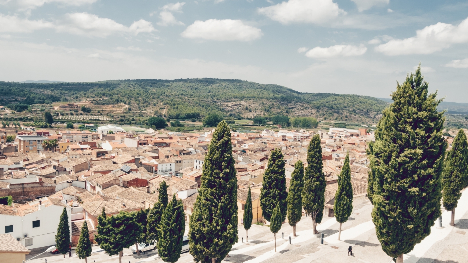 shutterstock 2047205171