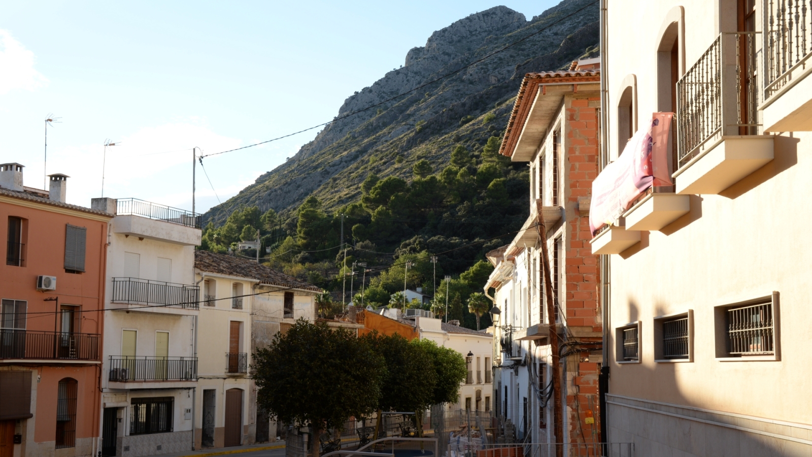 shutterstock 2052343694 - Murla