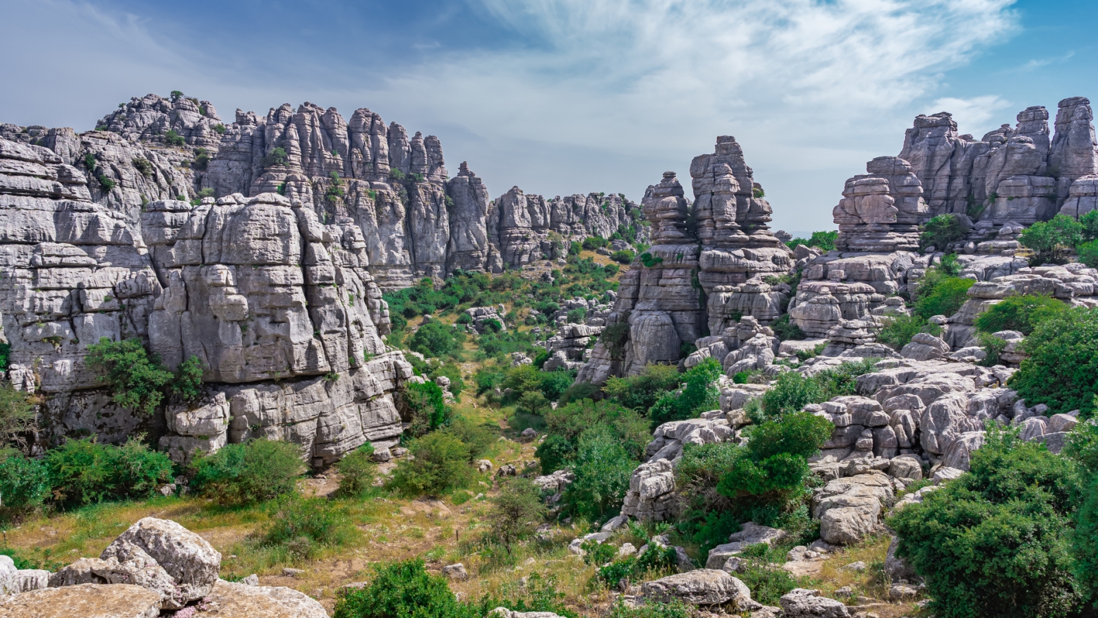 shutterstock 2058678551