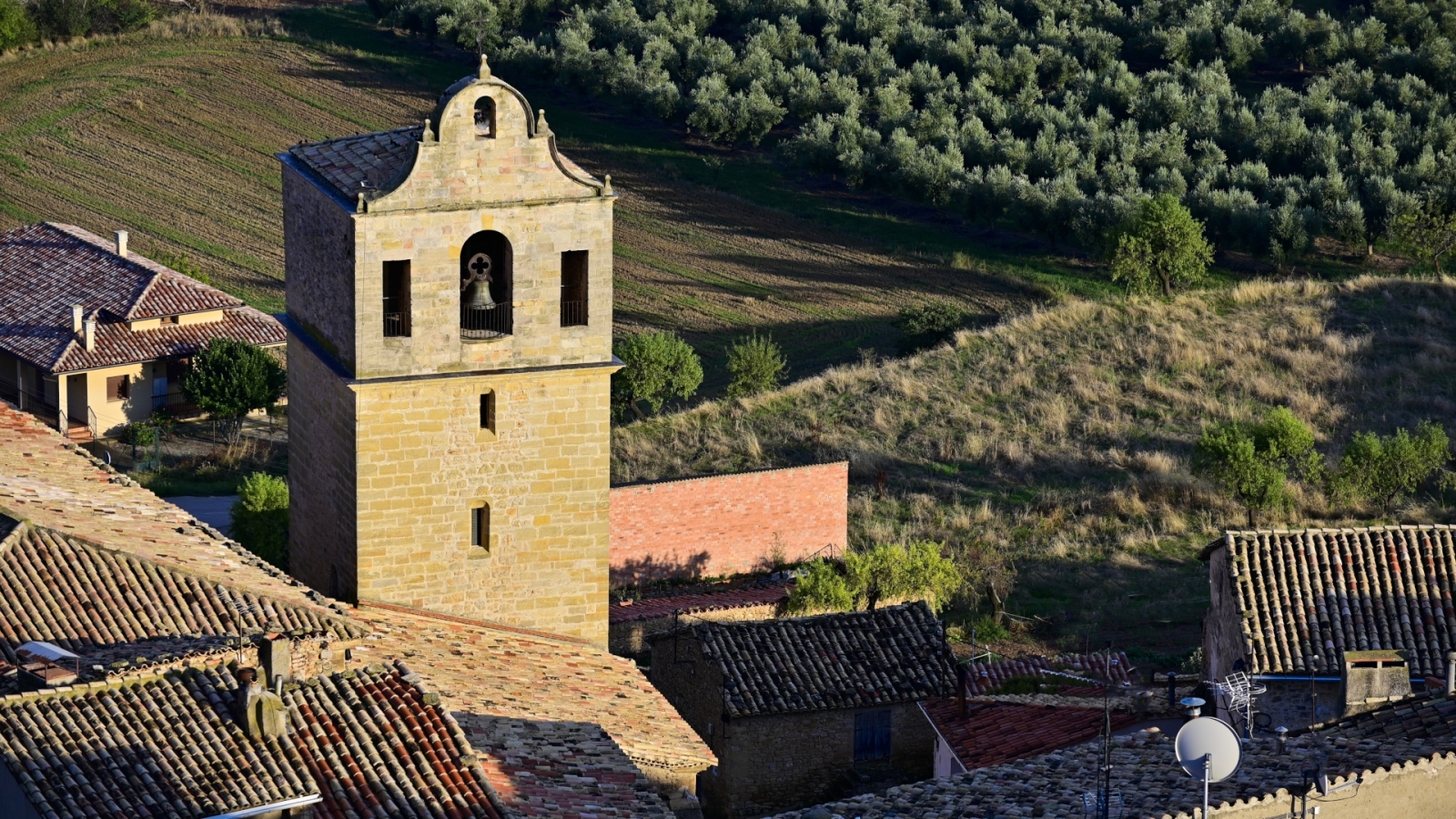 shutterstock 2058788039