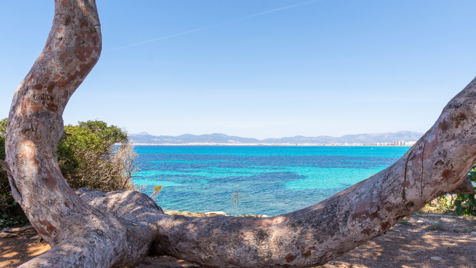 shutterstock 2073040721 - Son Veri Nou