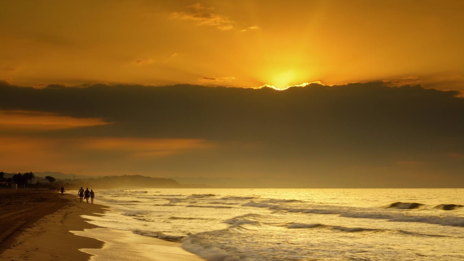 shutterstock 2077612354