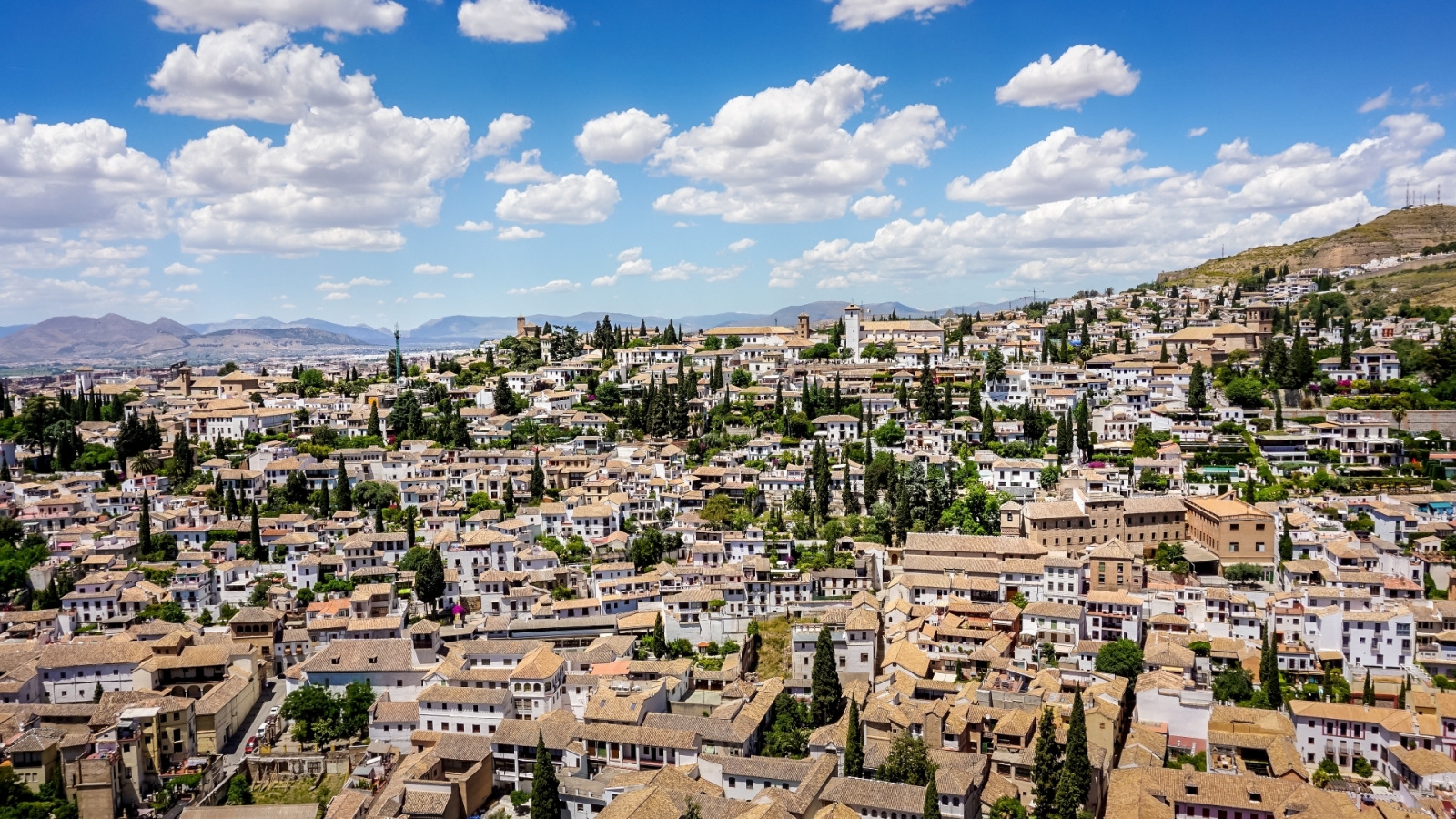 shutterstock 2096069500