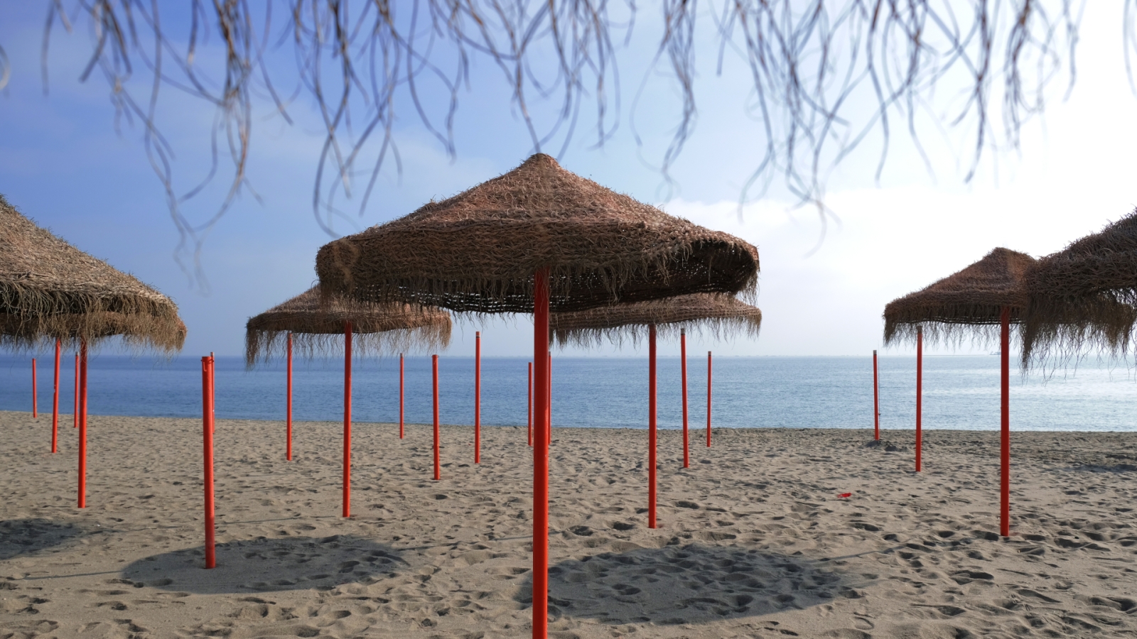 shutterstock 2116760102 - Atalaya Isdabe