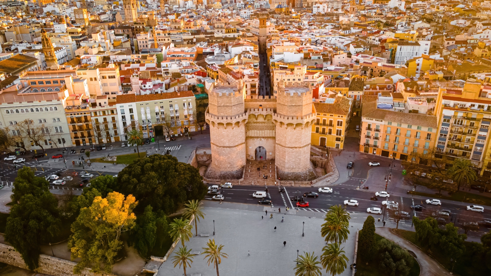 shutterstock 2130097520