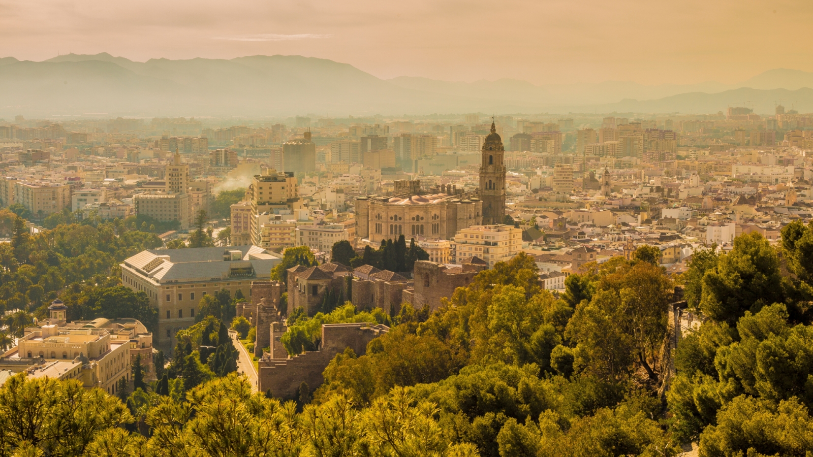 shutterstock 2144003915