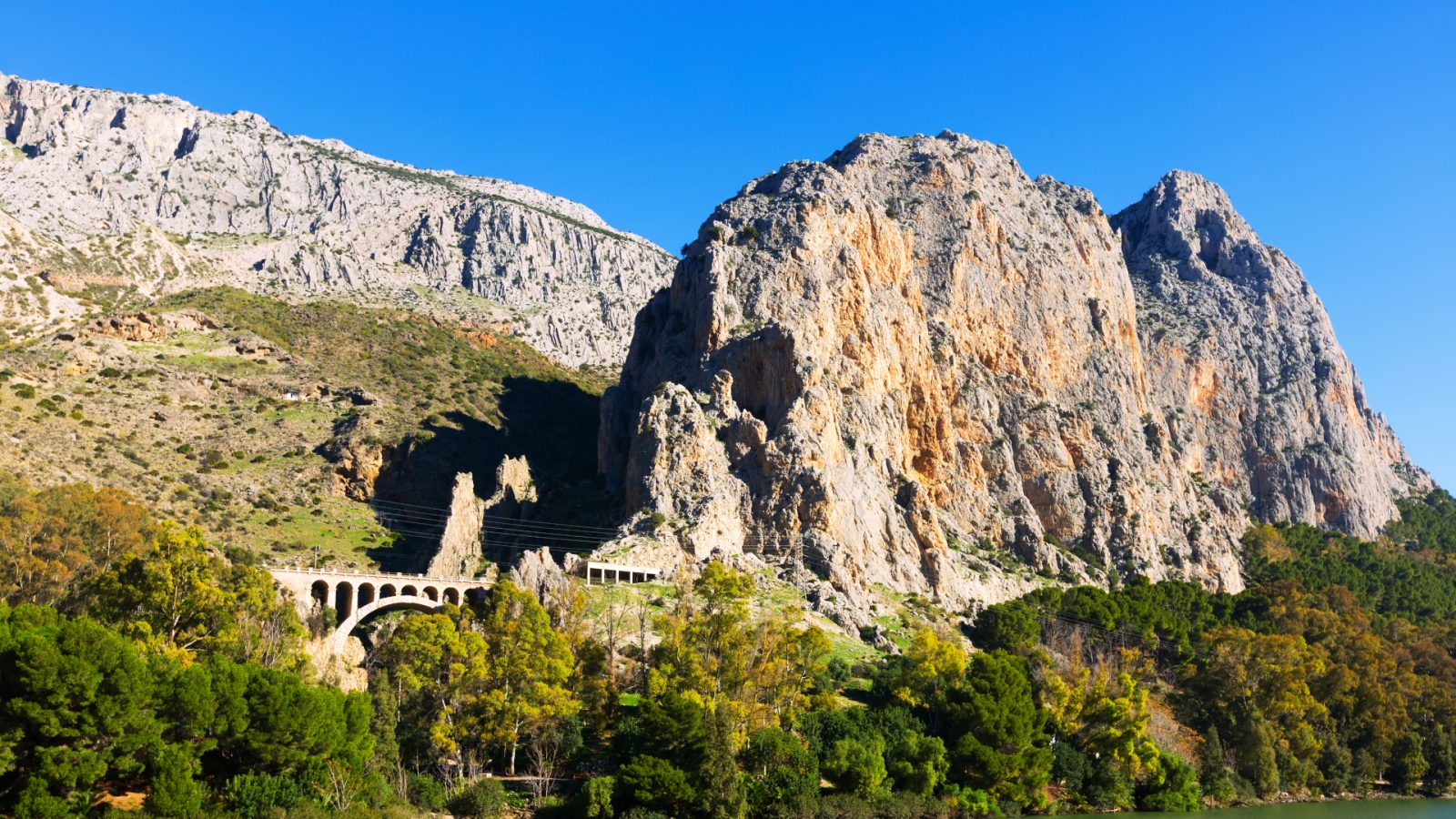 shutterstock 274149284