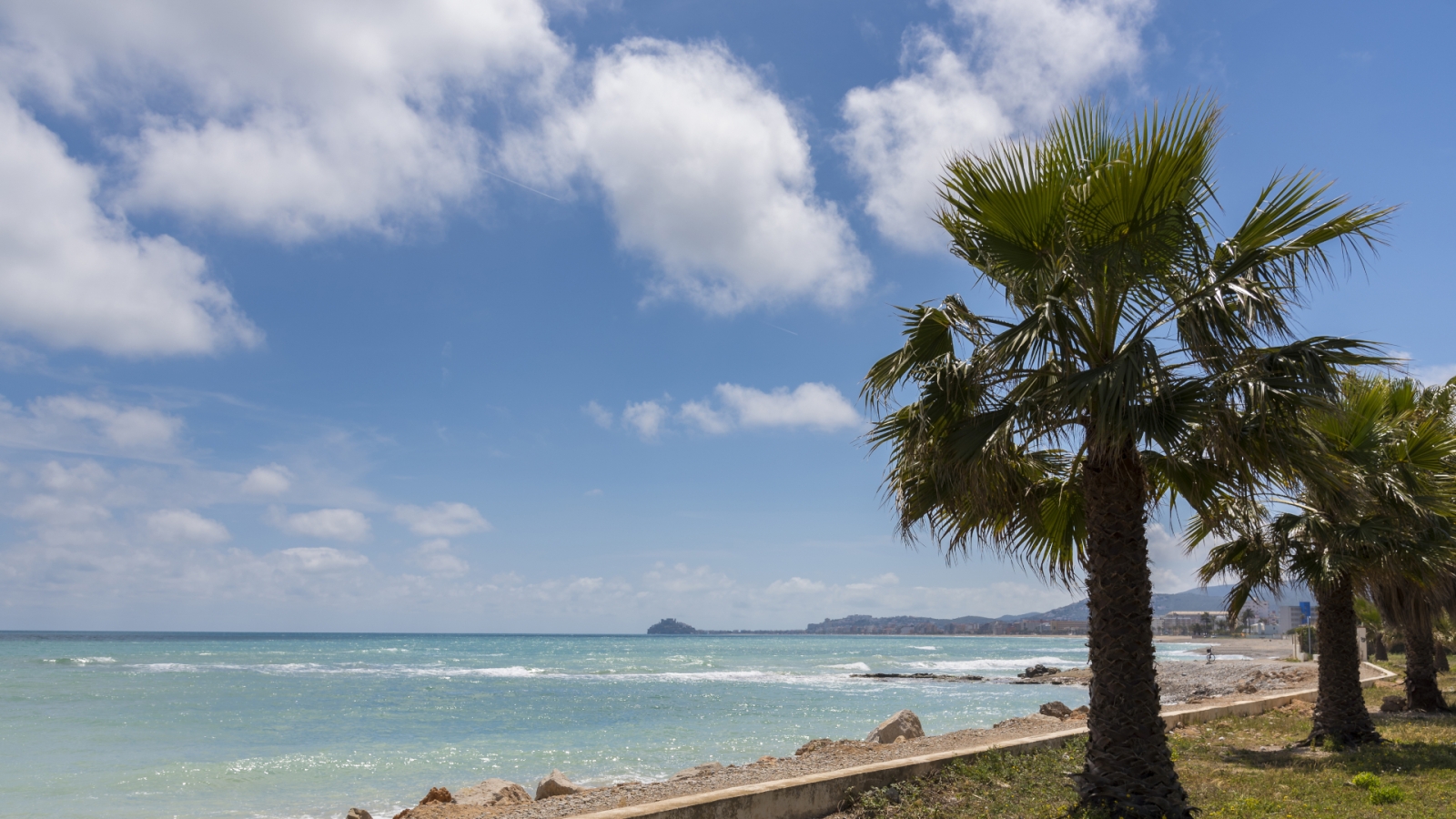 shutterstock 651821284