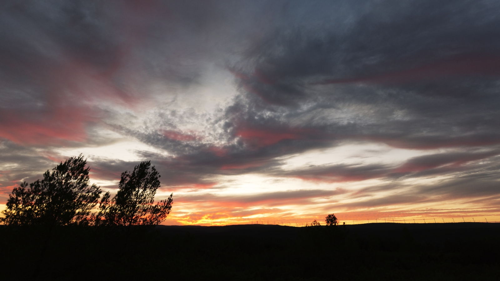 shutterstock 728044795