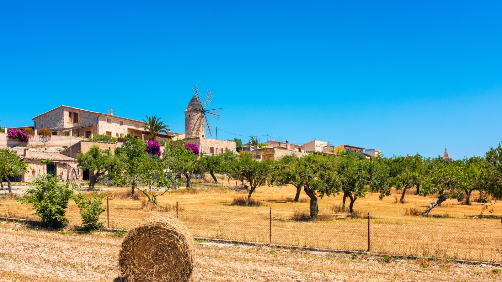 shutterstock 784650532