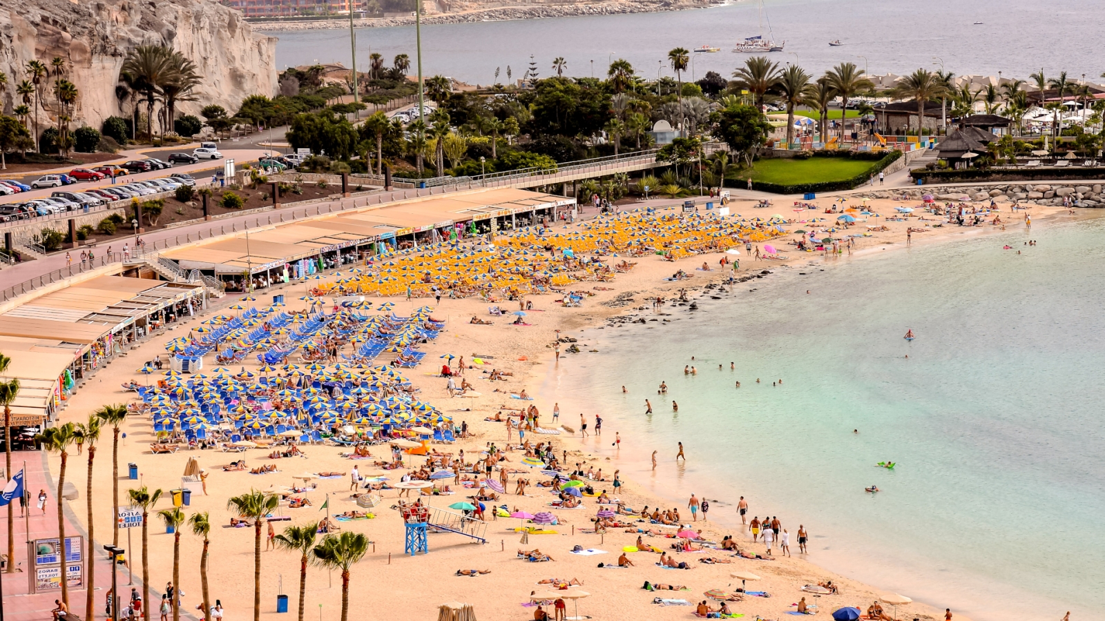 shutterstock 1123004060