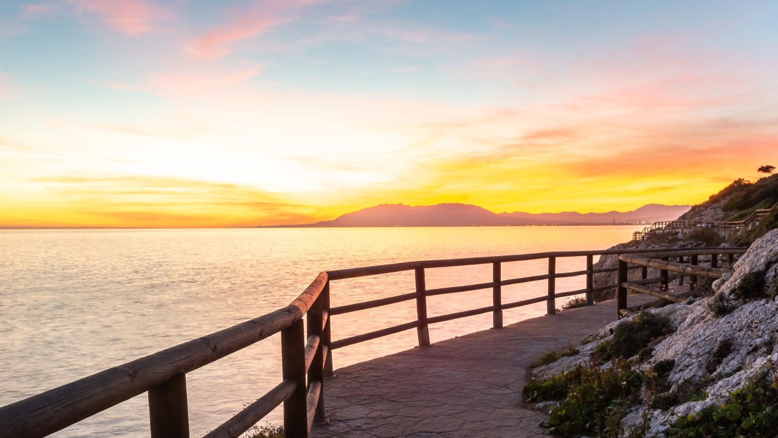 shutterstock 1265413504