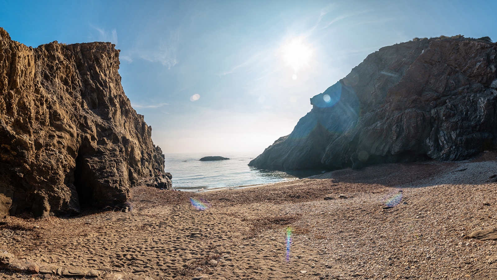 shutterstock_2130156962