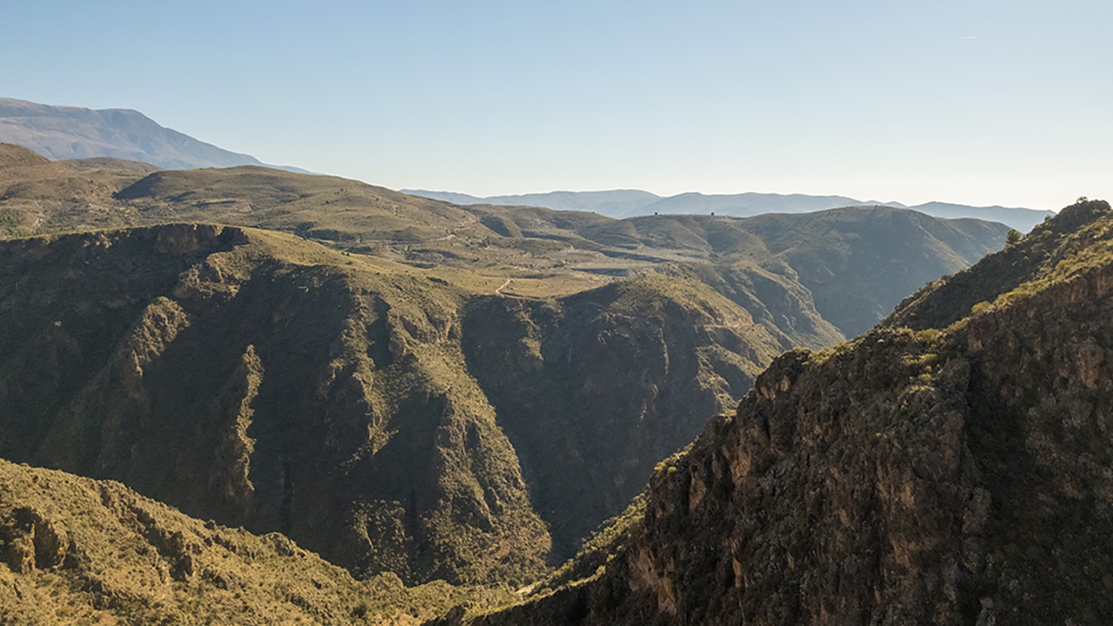 shutterstock_2134634715