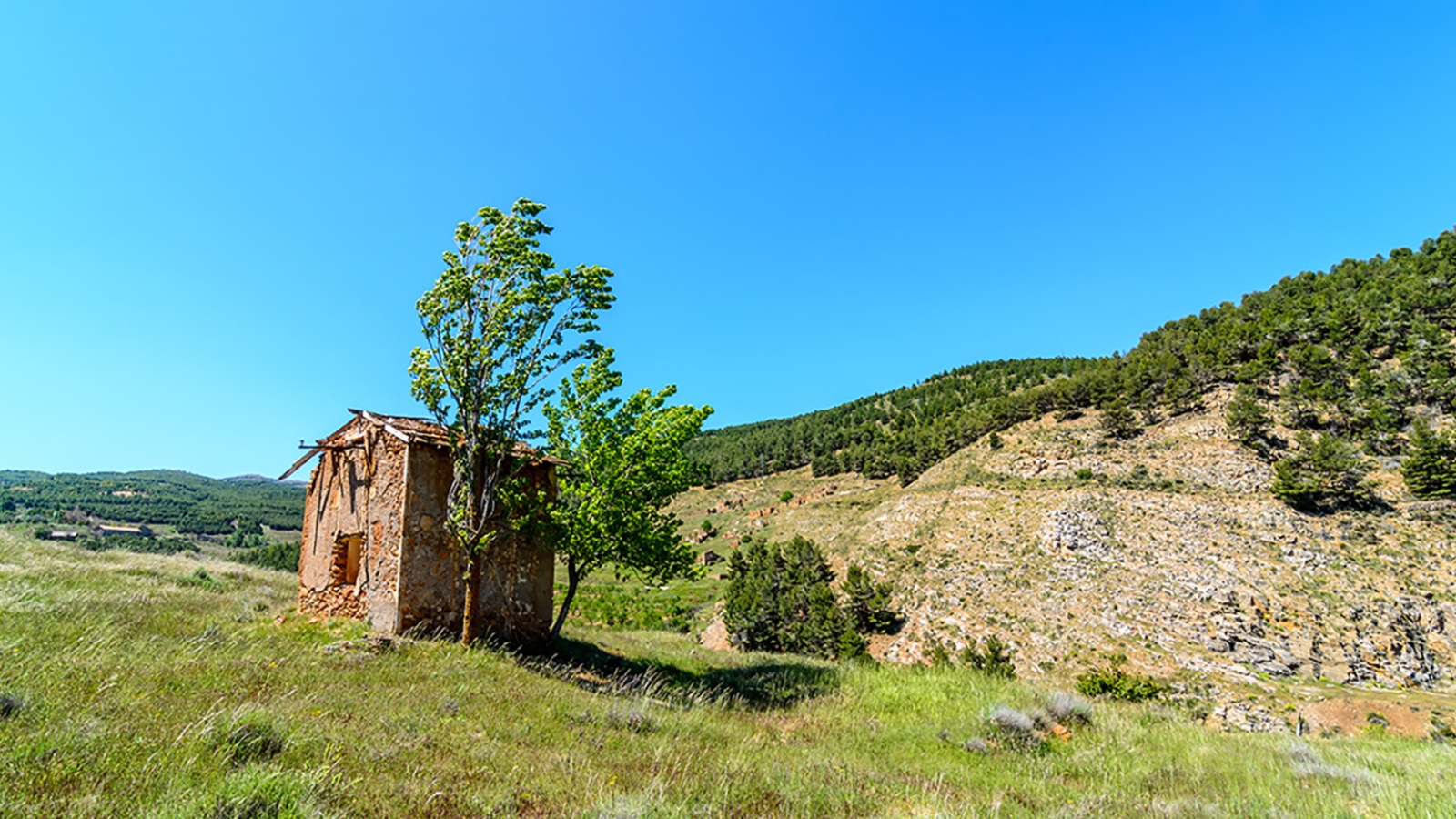 shutterstock_218478649