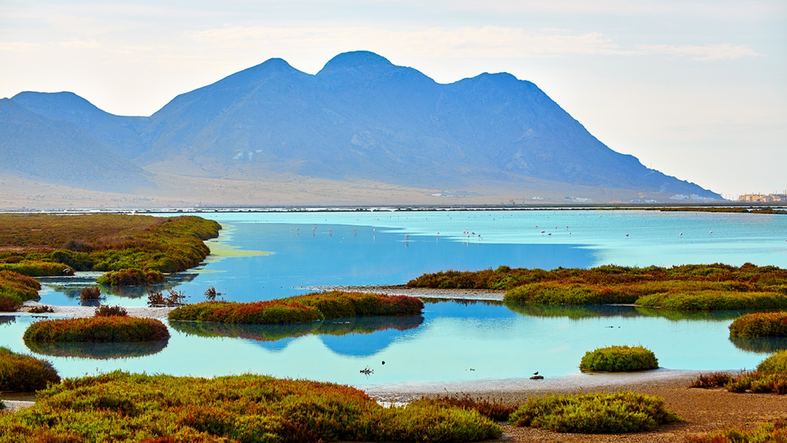 shutterstock 284705267