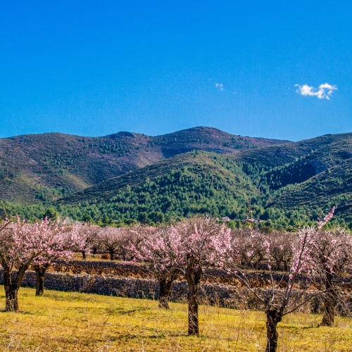 shutterstock 1017956782 - Jalon Valley