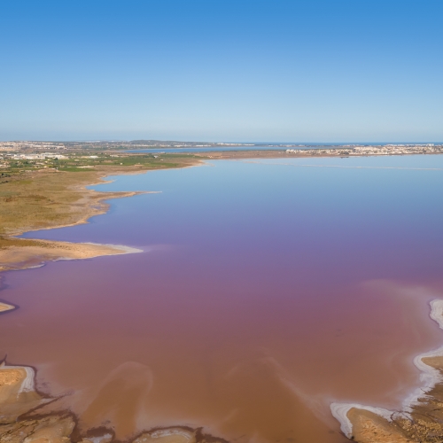 shutterstock 1854002923 - Montesinos, Laguna Salina de Torrevieja