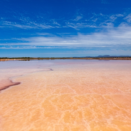 shutterstock 246235519 - Ses Salines