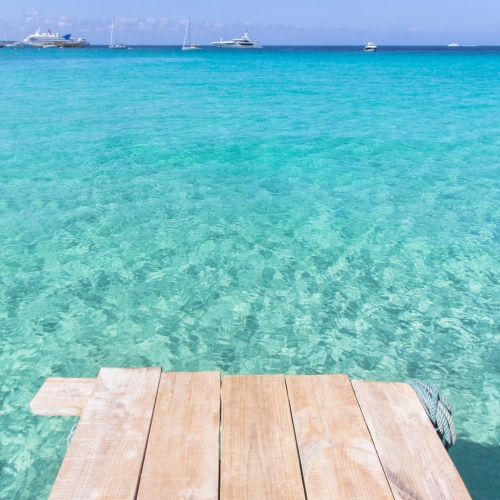 shutterstock 732974602 - Ses Illetes