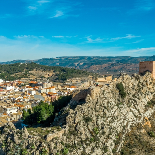 shutterstock 1628025562 - Ayora