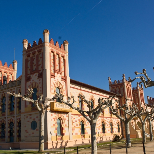 shutterstock 166925087 - Caldes de Malavella