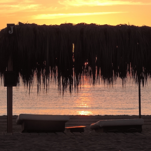 shutterstock 1987233143 - Xeraco