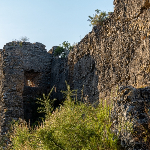 shutterstock 2007280931