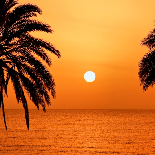 shutterstock 266456435 - Tenerife