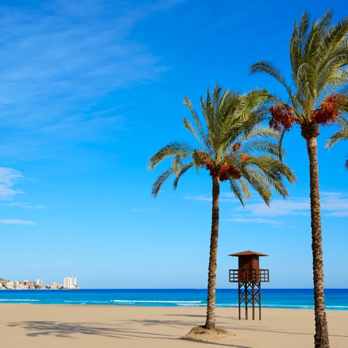 shutterstock 389185054 - Cullera