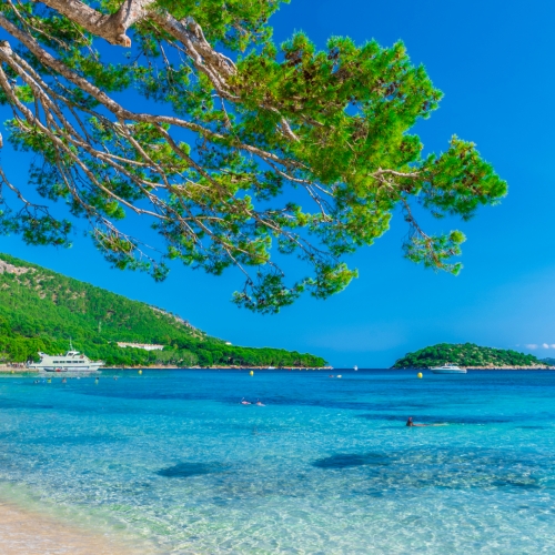 shutterstock 771066976 - Playa de Formentor, Cala Pi