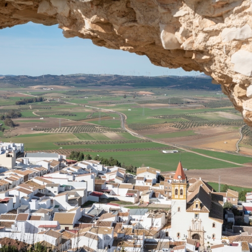 shutterstock 1599639652 - Teba