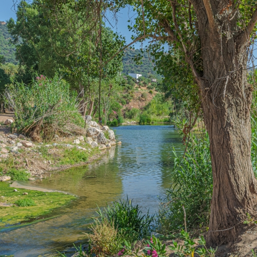 shutterstock 1653542662 - Guadiaro