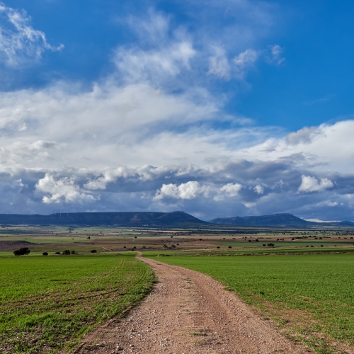 shutterstock 1699556566 - Alpera