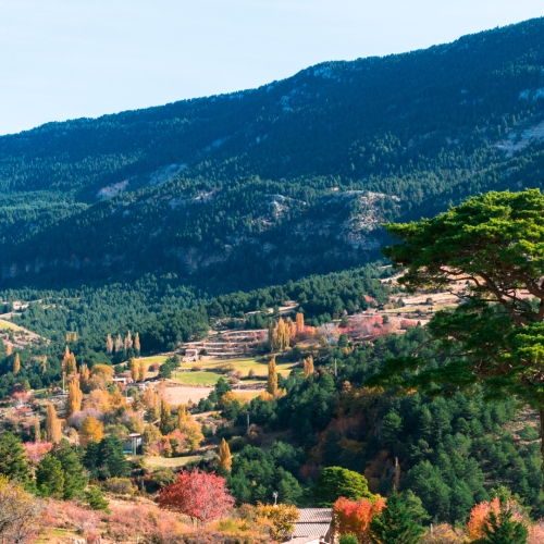 shutterstock 1841020576