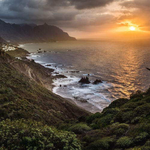 shutterstock 2021369501