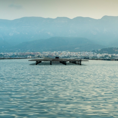 shutterstock 2058453602 - Sant Carles de la Ràpita