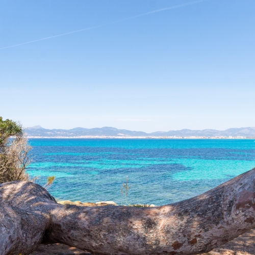 shutterstock 2073040721 - Son Veri Nou