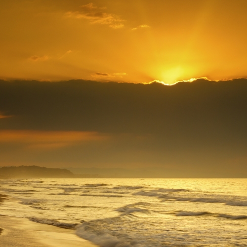 shutterstock 2077612354